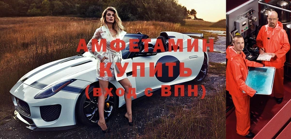 шишки Мегион
