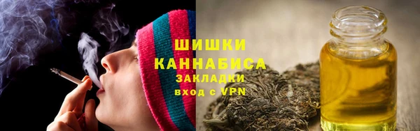 шишки Мегион