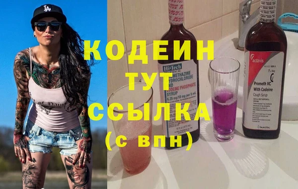 шишки Мегион