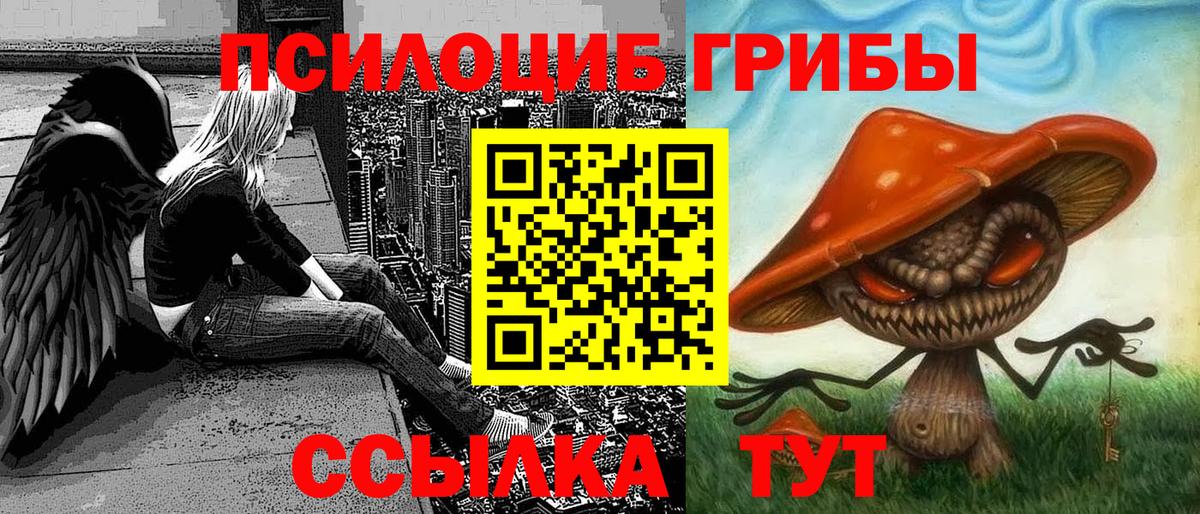 Урус-Мартан  Галлюциногенные грибы MAGIC MUSHROOMS  Вход с VPN 