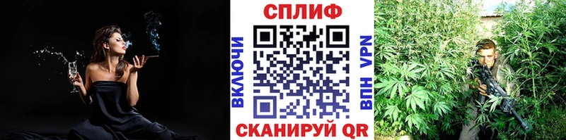 Каннабис Amnesia  Урус-Мартан 